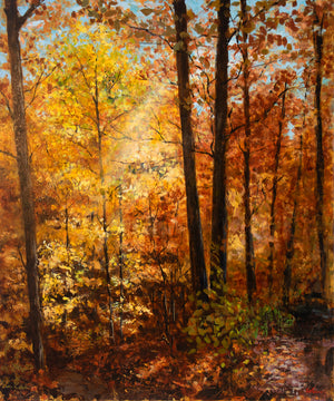 Autumn Forest